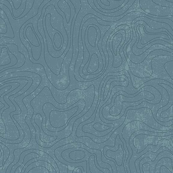 National Parks Wilderness & Wonder C13293-BLUE Topographic by Anderson Design Group for Riley Blake Designs