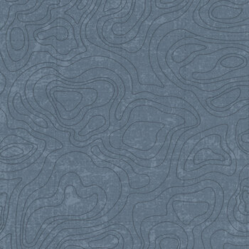 National Parks Wilderness & Wonder C13293-BLUE Topographic by Anderson Design Group for Riley Blake Designs