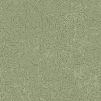 National Parks Wilderness & Wonder C13293-GREEN Topographic by Anderson Design Group for Riley Blake Designs