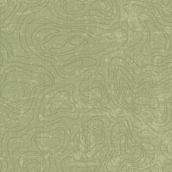 National Parks Wilderness & Wonder C13293-GREEN Topographic by Anderson Design Group for Riley Blake Designs