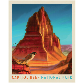 National Parks Wilderness & Wonder PD19145-PANEL Capitol Reef Poster Panel by Anderson Design Group for Riley Blake Designs