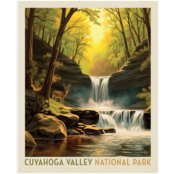 National Parks Wilderness & Wonder PD19146-PANEL Cuyahoga Valley Poster Panel by Anderson Design Group for Riley Blake Designs