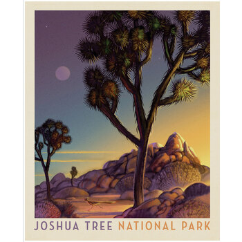 National Parks Wilderness & Wonder PD19151-PANEL Joshua Tree Poster Panel by Anderson Design Group for Riley Blake Designs