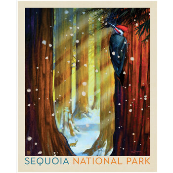 National Parks Wilderness & Wonder PD19155-PANEL Sequoia Poster Panel by Anderson Design Group for Riley Blake Designs