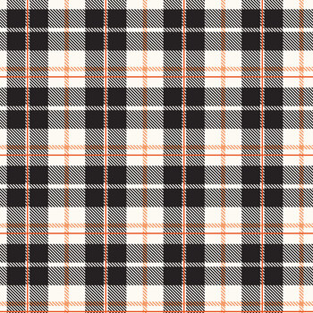 Vintage Boo C19265-BLACK Plaid by My Mind's Eye for Riley Blake Designs
