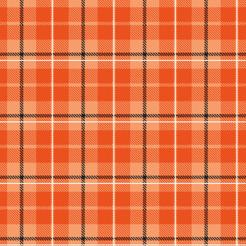 Vintage Boo C19265-ORANGE Plaid by My Mind's Eye for Riley Blake Designs