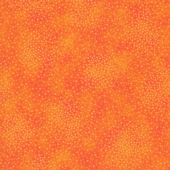 Spotsy 29912-O by QT Fabrics