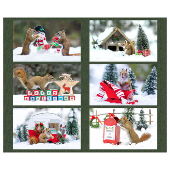 The Secret Life of Squirrels V Y5183-22 Placemat Panel by Nancy Rose for Clothworks