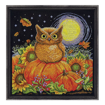 Harvest Owl Cross Stitch Picture Kit