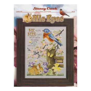 His Eyes Cross Stitch Pattern