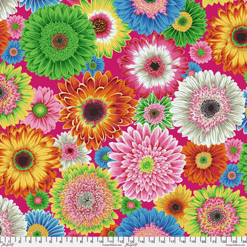 Kaffe Fassett Collective PWPJ139.BRIGHT Gerbera Daisies Bright by FreeSpirit Fabrics