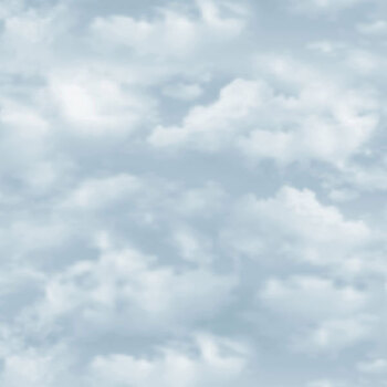 Cedar Shores - Naturescapes DP29588-42 Clouds Lt Blue by Deborah Edwards & Ron Van Gilder for Northcott Fabrics