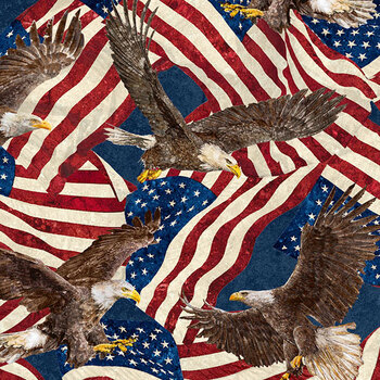 Stars & Stripes 15 - Stonehenge DP29709-48 Multi by Linda Ludovico for Northcott Fabrics