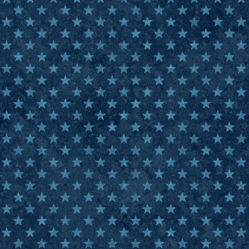 Stars & Stripes 15 - Stonehenge 29713-48 Navy by Linda Ludovico for Northcott Fabrics