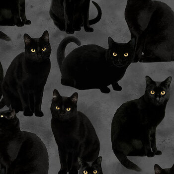 Twilight 29818-96 Charcoal by Deborah Edwards for Northcott Fabrics