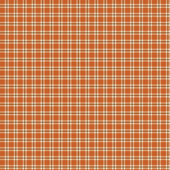 Acorn & Amber C19335-ORANGE Orange Plaid by Sandy Gervais for Riley Blake Designs