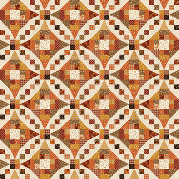 Acorn & Amber C19337-MULTI Multi Cheater Print by Sandy Gervais for Riley Blake Designs