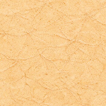 Trick or Treat Treasures 10910-52 Parchment Vintage by Patrick Lose for Northcott Fabrics