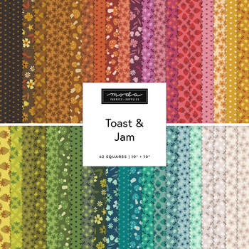 Toast & Jam  Layer Cake Elizabeth Hartman for Moda Fabrics - RESERVE