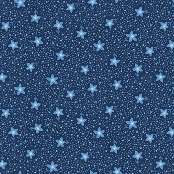 Freedom A-10897-B Galaxy Star Midnight by Andover Fabrics