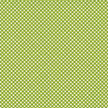 Coastal Breeze 37747-14 Pistachio Gingham by Sherri & Chelsi for Moda Fabrics