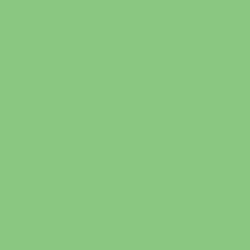Designer Essential Solids CSFSESS.CRICK Cricket by Tula Pink for FreeSpirit Fabrics