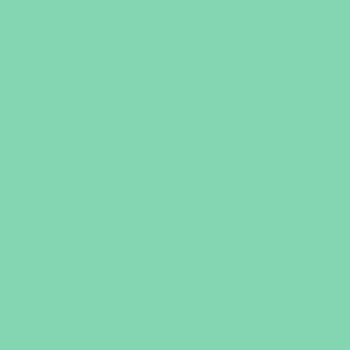 Designer Essential Solids CSFSESS.JULEP Julep by Tula Pink for FreeSpirit Fabrics