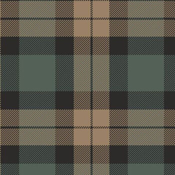 Primo Plaids Flannel Tawny & Teal PP092506-TEAL by Marcus Fabrics