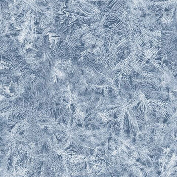 Bentley's Wonderland R652449D Ice Blue by The Smithsonian for Marcus Fabrics