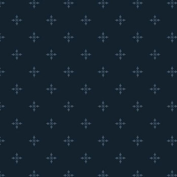 Bentley's Wonderland R652451D Sparkle Navy by The Smithsonian for Marcus Fabrics
