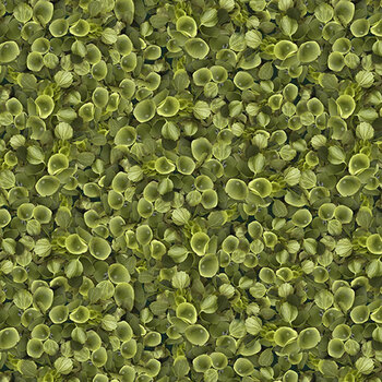 Tina's View Y5287-24 Olive Bells of Ireland by Tina Leto for Clothworks