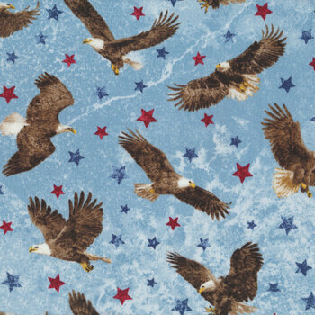 Stonehenge Stars & Stripes 7 39436-42 by Deborah Edwards for Northcott Fabrics, Image