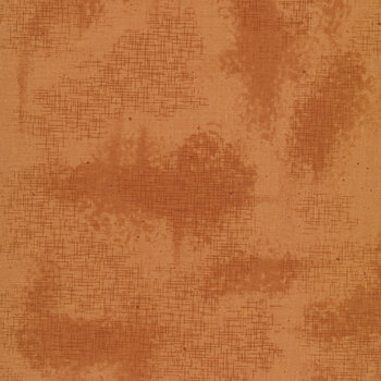 Shabby C605-CINNAMON by Lori Holt for Riley Blake Designs, Image