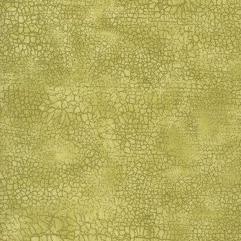 Crackle 9045-73 Moss by Northcott Fabrics