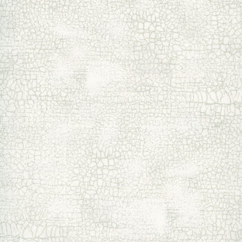 Crackle 9045-90 White Wash by Northcott Fabrics