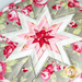 A close up of the center design on the Sophie Folded Star Hot Pad