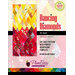 The front cover of the Dancing Diamonds Art Quilt Pattern showing the finished quilt.