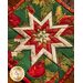 square green hot pad with central folded star featuring cardinals and holly.