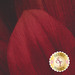 8 x 8 swatch of Fabric panel featuring large blooming red wild rose 