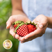 A person holds three plush strawberries in their hands, featuring various red fabrics with green leaves and checkered designs, against a blurred natural background.