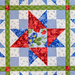 Colorful quilt featuring a central red star pattern surrounded by blue, green, and floral fabrics.