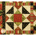 Quilt detail featuring a central red square surrounded by black, green, and floral triangular patterns.