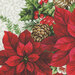 close up white panel with plaid border with red and white poinsettias with cardinals in the center