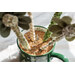 An angled shot from above the mug on a white tabletop showing the decorated dowels stuck in ground walnut shells with small dried lavender flowers on top.