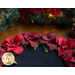 Close up image of the floral edge of the wool table topper showing layered wool to form red petals with green leaves on a black background with garland in the background on a wooden tabletop