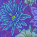 Fabric featuring vibrant blue, periwinkle, and aqua cactus blossoms over a plum background