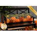 The completed Pumpkin Patch Pillow colored in autumnal flannel and cotton fabric, staged on a black bench surrounded by autumn leaves and decorations.