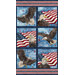 Collage of patriotic images featuring eagles and American flags, with phrases celebrating freedom.