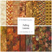 A collage of the Falling Leaves collection featuring various warm-toned fabrics included in the FQ set, inspired by autumn leaves and textures.