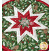 Round quilted hot pad featuring a star design in red, white, and green with festive patterns.